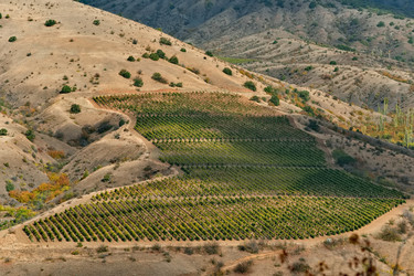 Similar image 22202115