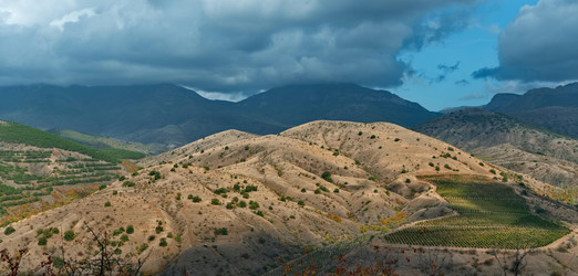 Similar image 22202116