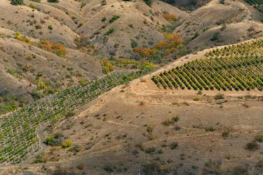 Similar image 22202117