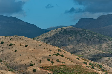 Similar image 22202118