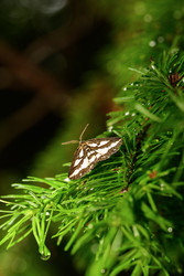 Similar image 22199533