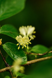 Similar image 22199534