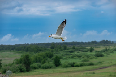 Similar image 22201396