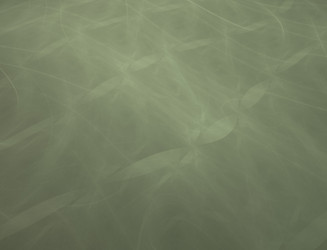 Similar image 22197653