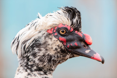 Similar image 22196364