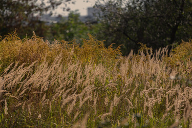 Similar image 22196369