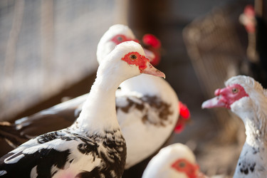 Similar image 22196373