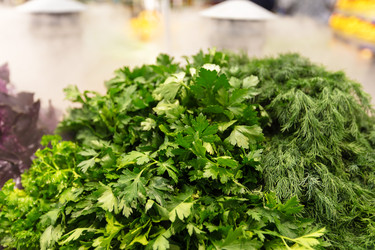 Similar image 22196381