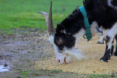 Similar image 22196383