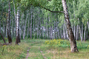 Similar image 22196385