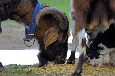 Similar image 22196386