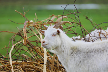 Similar image 22196387