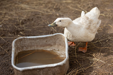 Similar image 22196388