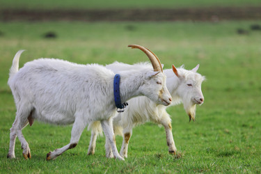 Similar image 22196391