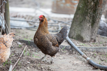 Similar image 22196393