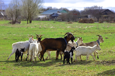 Similar image 22196404