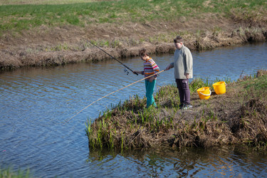 Similar image 22196620