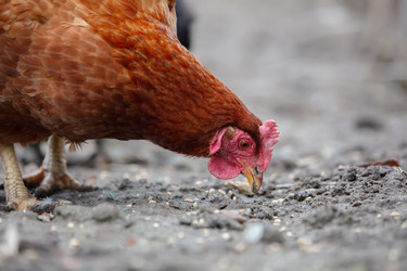 Similar image 22196626