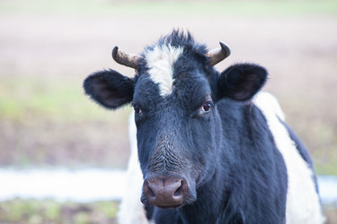 Similar image 22196627