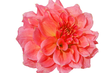 Similar image 22195890