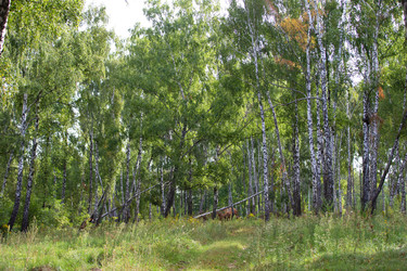 Similar image 22195899