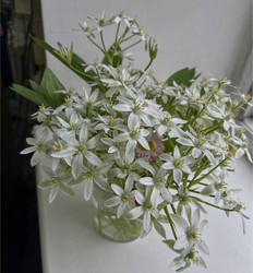 Similar image 22198269