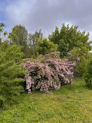 Similar image 22198270