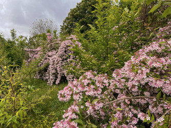 Similar image 22198271