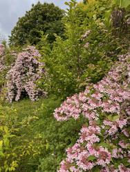 Similar image 22198272