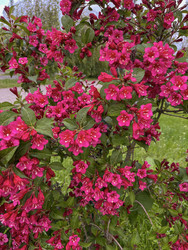 Similar image 22198273