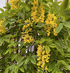 Similar image 22198274