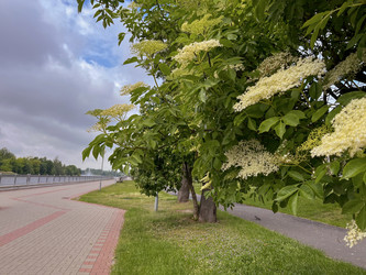 Similar image 22198275