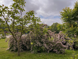 Similar image 22198276