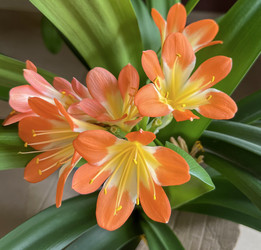 Similar image 22198279