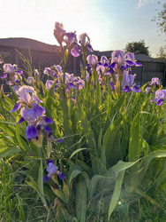 Similar image 22198280