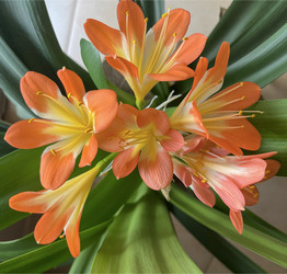 Similar image 22198282