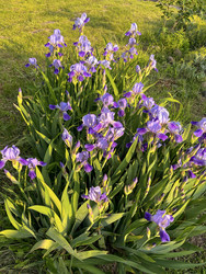 Similar image 22198283