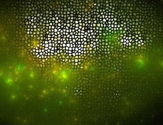 Similar image 22198516