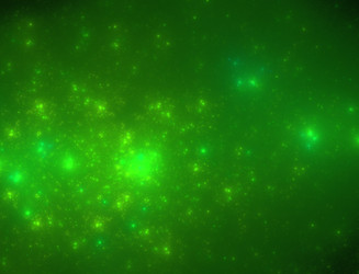 Similar image 22198523