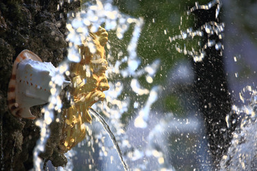 Similar image 22210451