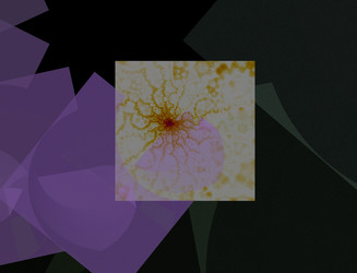 Similar image 22197841