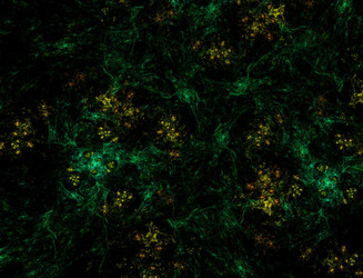 Similar image 22197924