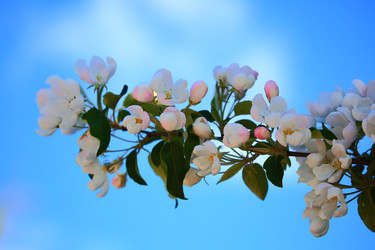 Similar image 22201397