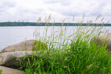 Similar image 22194875