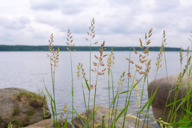 Similar image 22194876