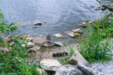 Similar image 22194877