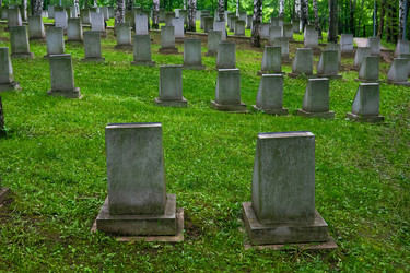 Similar image 22194883