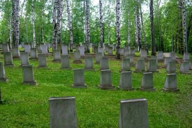 Similar image 22194884