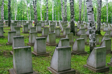 Similar image 22194885