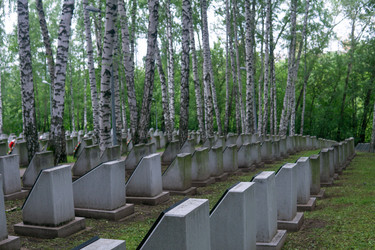 Similar image 22194887